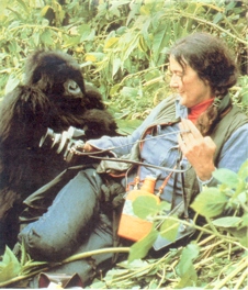 Diane Fossey
