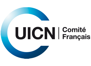 logo_uinc_petit