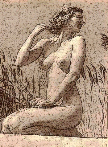 sirne assise