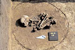 position repliée