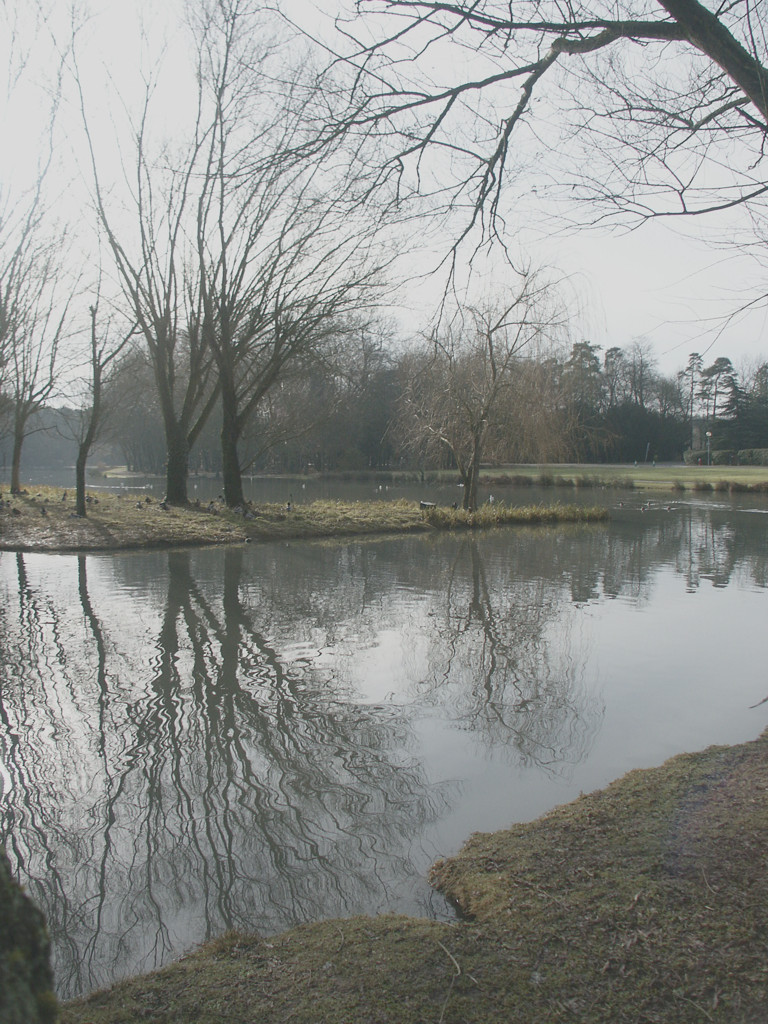 marais de Sologne